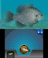 画像ギャラリー No.005のサムネイル画像 / 「Fish Eyes 3D」発売記念壁紙＆待受をプレゼント。ゲームの進め方を紹介