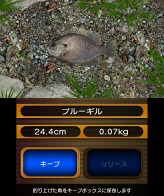 画像ギャラリー No.007のサムネイル画像 / 「Fish Eyes 3D」発売記念壁紙＆待受をプレゼント。ゲームの進め方を紹介