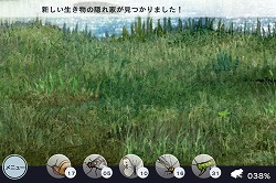 画像ギャラリー No.006のサムネイル画像 / GhM初のiPhone用ゲーム「FROG MINUTES」には，単純ながらも遊び続けたくなる魅力が満載
