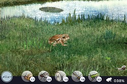 画像ギャラリー No.008のサムネイル画像 / GhM初のiPhone用ゲーム「FROG MINUTES」には，単純ながらも遊び続けたくなる魅力が満載