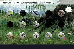 画像ギャラリー No.013のサムネイル画像 / GhM初のiPhone用ゲーム「FROG MINUTES」には，単純ながらも遊び続けたくなる魅力が満載