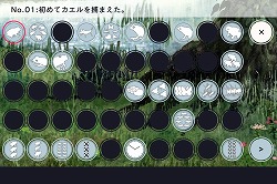 画像ギャラリー No.014のサムネイル画像 / GhM初のiPhone用ゲーム「FROG MINUTES」には，単純ながらも遊び続けたくなる魅力が満載