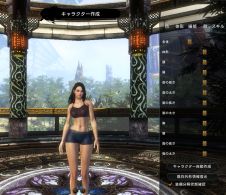 画像ギャラリー No.007のサムネイル画像 / ど派手なバトルだけじゃない。「Legend of Souls」，自由度の高いキャラクターメイキングで自分だけのキャラクターを作りだそう