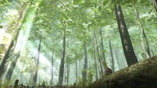 画像ギャラリー No.018のサムネイル画像 / KONAMIとトライエースが開発中のPSP「フロンティアゲート」は，マルチプレイとターン制コマンドバトルを前提としたRPGだった。その狙いを両社に聞く