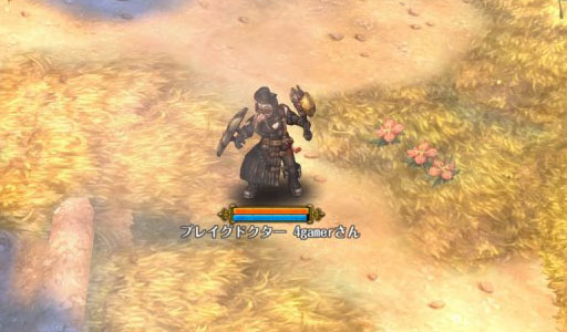 画像ギャラリー No.034のサムネイル画像 / 「Tree of Savior」OBTで最上位となる7次職を紹介。ギルド運営に特化して攻撃スキルを持たないテンプラーなど，個性的なクラスが登場