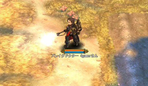 画像ギャラリー No.035のサムネイル画像 / 「Tree of Savior」OBTで最上位となる7次職を紹介。ギルド運営に特化して攻撃スキルを持たないテンプラーなど，個性的なクラスが登場