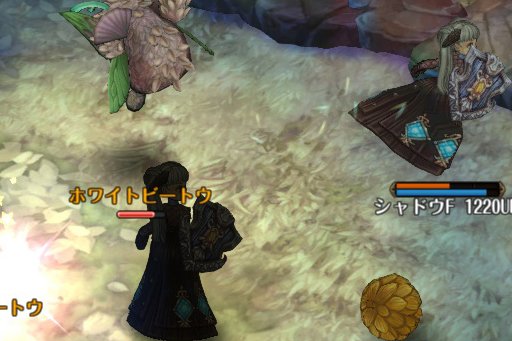 画像ギャラリー No.004のサムネイル画像 / 「Tree of Savior」で12月20日に大型アップデートが実施。新8次クラスの実装，そしてハクスラ要素の強化で，より遊びごたえのある内容に
