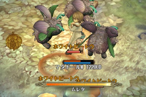 画像ギャラリー No.017のサムネイル画像 / 「Tree of Savior」で12月20日に大型アップデートが実施。新8次クラスの実装，そしてハクスラ要素の強化で，より遊びごたえのある内容に