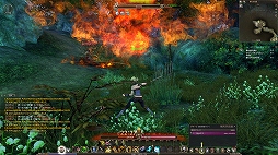 画像ギャラリー No.041のサムネイル画像 / 「ECHO OF SOUL（EOS）」は，MMORPGの面白さを再確認させてくれる“丁度よい”作品。東京で行われたフォーカスグループテストをレポート