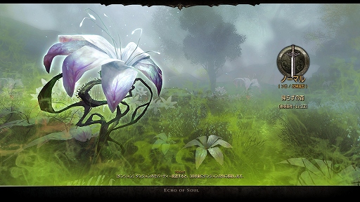 画像ギャラリー No.044のサムネイル画像 / 「ECHO OF SOUL（EOS）」は，MMORPGの面白さを再確認させてくれる“丁度よい”作品。東京で行われたフォーカスグループテストをレポート