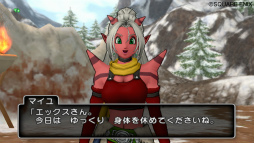 画像ギャラリー No.020のサムネイル画像 / 「ドラゴンクエストX」は，「バージョン1.3」でどう変わる？　アップデートの見どころとWii U版のサービスインについて，齊藤陽介氏と藤澤 仁氏に聞いてみた