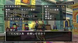 ドラゴンクエストX　目覚めし五つの種族　オンライン