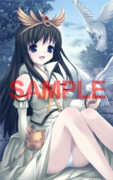 画像ギャラリー No.001のサムネイル画像 / PSP版「永遠のアセリア」，店舗別購入特典のイラストが公開に