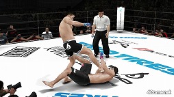 画像ギャラリー No.025のサムネイル画像 / 「UFC Undisputed 3」で「PRIDE」がリボーン!?　日本の総合格闘技ファンが待ち望んでいた本作の見どころをチェック 
