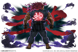 画像ギャラリー No.005のサムネイル画像 / 「パズドラ」，対戦格闘ゲーム「ストリートファイターV AE」とのコラボイベントが2月18日にスタート。参戦キャラのイラストも公開に