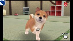 画像ギャラリー No.002のサムネイル画像 / 「わんこのじかん」，公式サイトを更新。プレイ動画の配信もスタート
