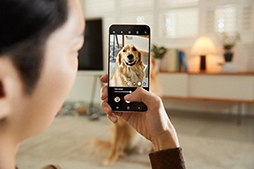 画像ギャラリー No.009のサムネイル画像 / Samsung，新型ハイエンドスマホ「Galaxy S22」シリーズとハイエンドタブレット「Galaxy Tab S8」シリーズを発表
