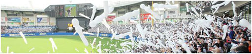 画像ギャラリー No.003のサムネイル画像 / 「プロ野球PRIDE」千葉ロッテマリーンズと提携。企画チケットの販売を実施