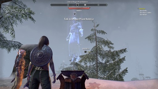 画像ギャラリー No.005のサムネイル画像 / 「The Elder Scrolls Online」プレイレポート。多人数プレイで増幅されるファンタジー世界のリアリティ