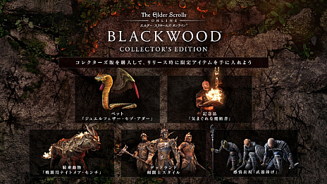 画像ギャラリー No.010のサムネイル画像 / 「エルダー・スクロールズ・オンライン」の最新アップデートパッケージ「ブラックウッド」の販売がスタート。第30弾アップデートも実施