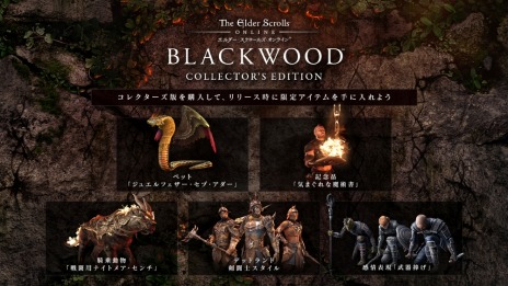 画像ギャラリー No.002のサムネイル画像 / 「エルダー・スクロールズ・オンライン」日本語版のオータムセールが開催。最新DLC“ブラックウッド”が50％オフ，ベースゲームが89％オフに