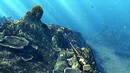 画像ギャラリー No.004のサムネイル画像 / オーバーランド，モリで突いて魚を捕るスピアフィッシングシム「デプス ハンター」を，2012年5月18日にリリース