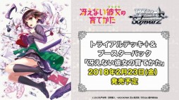 画像ギャラリー No.013のサムネイル画像 / 「ブシロード超戦略発表会」をレポート。多くの参戦タイトルが明かされた「ヴァイスシュヴァルツ」など，TCGタイトルの新情報や今後の展開が公開