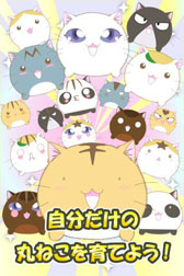 画像ギャラリー No.004のサムネイル画像 / Android向けアプリ「ポヨポヨ観察日記」，GMOゲームセンターで配信中