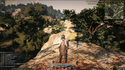 画像ギャラリー No.043のサムネイル画像 / MMORPG「黒い砂漠」で目指す，これまでとまったく異なるゲームとは。韓国開発元Pearl AbyssのCEO キム・デイル氏にインタビューしてみた