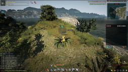 画像ギャラリー No.058のサムネイル画像 / MMORPG「黒い砂漠」で目指す，これまでとまったく異なるゲームとは。韓国開発元Pearl AbyssのCEO キム・デイル氏にインタビューしてみた