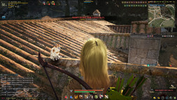 画像ギャラリー No.062のサムネイル画像 / MMORPG「黒い砂漠」で目指す，これまでとまったく異なるゲームとは。韓国開発元Pearl AbyssのCEO キム・デイル氏にインタビューしてみた