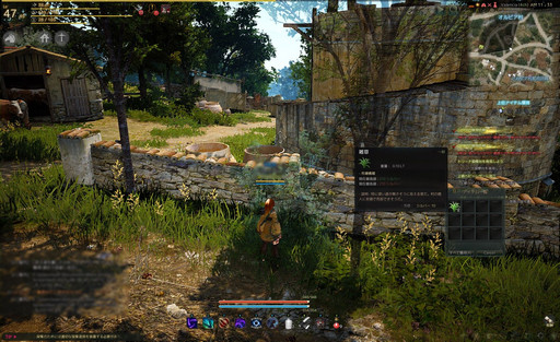 画像ギャラリー No.043のサムネイル画像 / 自由度が高いと言われるMMORPG「黒い砂漠」。何がそんなに自由なのかをいろいろ紹介してみよう