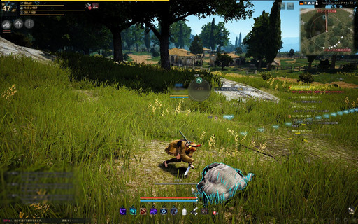画像ギャラリー No.046のサムネイル画像 / 自由度が高いと言われるMMORPG「黒い砂漠」。何がそんなに自由なのかをいろいろ紹介してみよう
