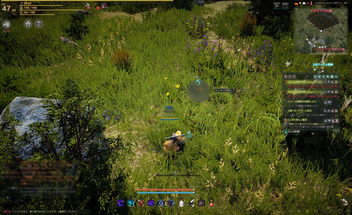 画像ギャラリー No.048のサムネイル画像 / 自由度が高いと言われるMMORPG「黒い砂漠」。何がそんなに自由なのかをいろいろ紹介してみよう