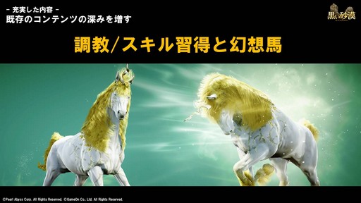画像ギャラリー No.012のサムネイル画像 / 「黒い砂漠」の新クラス「ミスティック」が編集部に来訪。彼女に見惚れるプロデューサーがこぼした2018年のロードマップを紹介