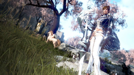 画像ギャラリー No.001のサムネイル画像 / PC版「黒い砂漠」で初心者が躓きそうな，知っておくべき14のこと