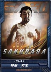 画像ギャラリー No.012のサムネイル画像 / 「キング オブ プロレスリング」，第3弾が4月13日に発売。イベント情報も