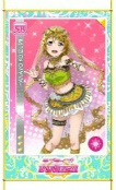 画像ギャラリー No.017のサムネイル画像 / 「ラブライブ！スクフェス」，感謝祭2017記念のAC連動企画を実施