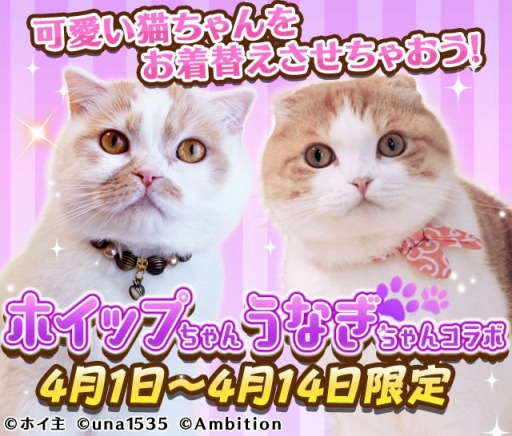 画像ギャラリー No.001のサムネイル画像 / 「フェアリードール」がSNSで人気の猫「ホイップちゃん＆うなぎちゃん」とのコラボを実施
