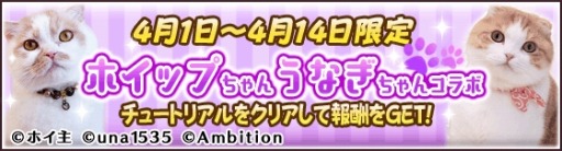 画像ギャラリー No.002のサムネイル画像 / 「フェアリードール」がSNSで人気の猫「ホイップちゃん＆うなぎちゃん」とのコラボを実施