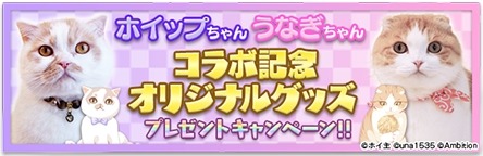画像ギャラリー No.005のサムネイル画像 / 「フェアリードール」がSNSで人気の猫「ホイップちゃん＆うなぎちゃん」とのコラボを実施