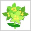 画像ギャラリー No.012のサムネイル画像 / 「ちょこっとファーム」,イベント“見上げる夜空に願いを込めて”を開催中