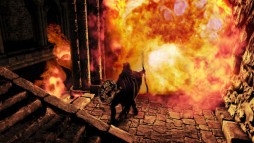 画像ギャラリー No.004のサムネイル画像 / DMM.com，PC版「DARK SOULS II」購入者にDMMギフト券1500円分を還元
