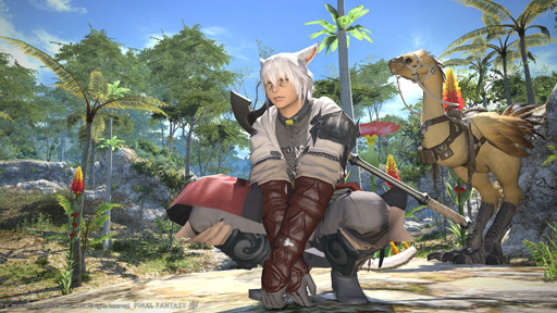画像ギャラリー No.048のサムネイル画像 / ［E3 2013］「新生FFXIV」のPS4版は，2014年の早い時期に登場。PS4版の概要といよいよ開始されるβテストフェーズ3について，吉田直樹氏に聞いてみた