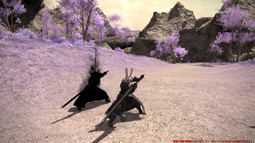 画像ギャラリー No.497のサムネイル画像 / 「FFXIV：漆黒のヴィランズ」で既存15ジョブはどう変わったのか。試遊でのインプレッションを掲載