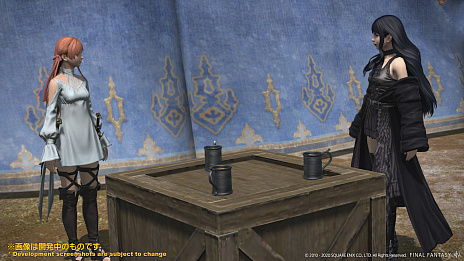 画像ギャラリー No.007のサムネイル画像 / 「FFXIV」，最新パッチ5.4「もうひとつの未来」は2020年12月上旬に公開