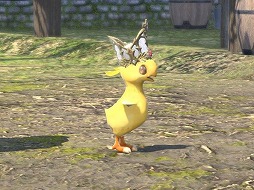 画像ギャラリー No.031のサムネイル画像 / 「ファイナルファンタジーXIV」の深淵を覗いてみないか？　8年以上続くMMORPGに存在するアチーブメントを紹介