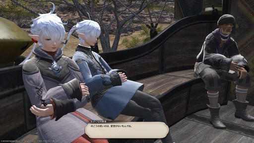 画像ギャラリー No.016のサムネイル画像 / 「FFXIV」に興味はあるけどMMORPGがちょっと苦手。そんな人にこそおススメしたい，物語をソロでも楽しめる“コンテンツサポーター”を紹介