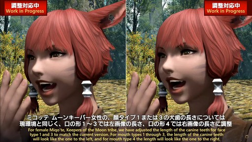 画像ギャラリー No.012のサムネイル画像 / 「FFXIV：黄金のレガシー」で追加される新ジョブの詳細や既存ジョブの新アクションが公開された「プロデューサーレターLIVE」の内容をお届け