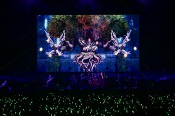 画像ギャラリー No.024のサムネイル画像 / 満員のヒカセンで横浜アリーナが揺れた！「THE PRIMALS Live in Japan - Darkest Before Dawn」レポート